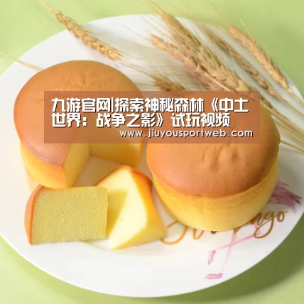 九游娱乐官方网站