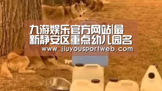 九游娱乐官方网站